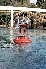 Finding Nemo Submarine Voyage