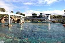 Finding Nemo Submarine Voyage