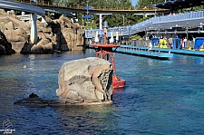 Finding Nemo Submarine Voyage