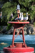 Finding Nemo Submarine Voyage