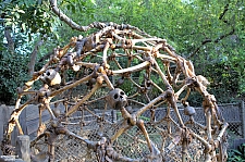 Pirate's Lair on Tom Sawyer Island