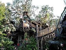 Adventureland Treehouse