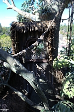 Adventureland Treehouse