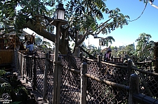 Adventureland Treehouse