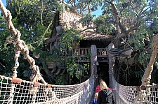 Adventureland Treehouse
