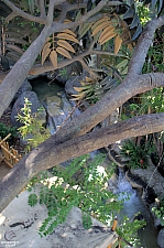 Adventureland Treehouse