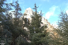 Matterhorn Bobsleds