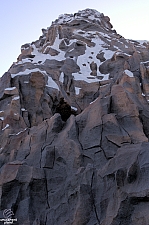 Matterhorn Bobsleds