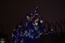 Celebrate the Magic