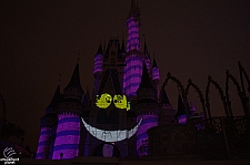 Celebrate the Magic
