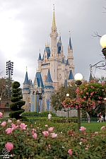 Cinderella Castle