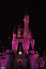 Cinderella Castle