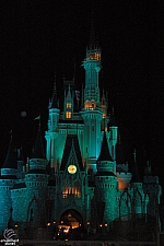 Cinderella Castle