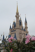 Cinderella Castle