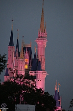 Cinderella Castle