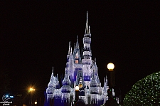 Cinderella Castle