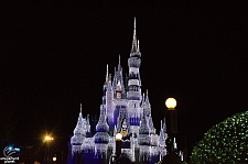 Cinderella Castle