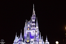 Cinderella Castle