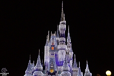 Cinderella Castle