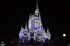 Cinderella Castle