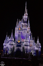 Cinderella Castle