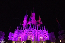 Cinderella Castle