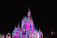 Cinderella Castle