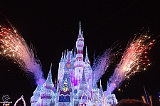 Cinderella Castle