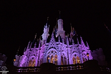 Cinderella Castle