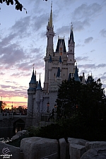 Cinderella Castle