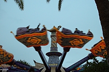 Magic Carpets of Aladdin