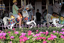 Prince Charming Regal Carrousel