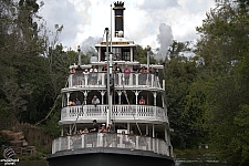 Liberty Belle