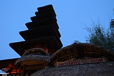 Walt Disney's Enchanted Tiki Room