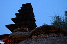 Walt Disney's Enchanted Tiki Room