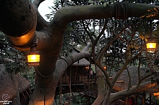 Swiss Family Treehouse