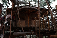 Swiss Family Treehouse