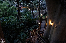 Swiss Family Treehouse