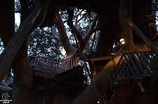 Swiss Family Treehouse