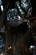 Swiss Family Treehouse