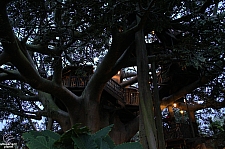 Swiss Family Treehouse