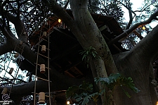 Swiss Family Treehouse