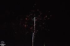 Wishes: A Magical Gathering of Disney Dreams