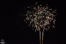 Wishes: A Magical Gathering of Disney Dreams