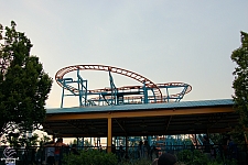 Wild Mouse