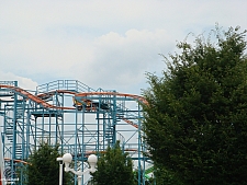 Wild Mouse