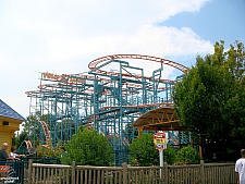 Wild Mouse