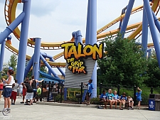 Talon