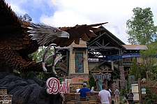 Wild Eagle