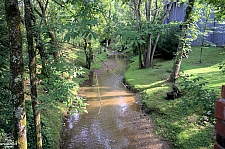 Dollywood